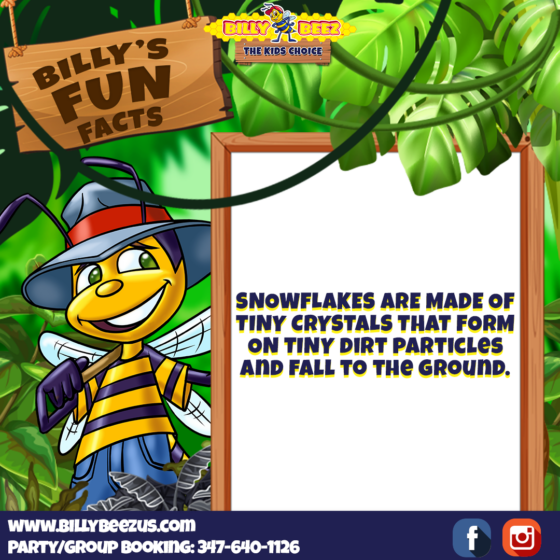 Billy Beez The Kids Choice Billy's Fun Facts Snowflakes are made of tiny crystal that form on tiny dirt particles and fall to the ground. www.billybeezus.com Party/Group Booking: 347-640-1126