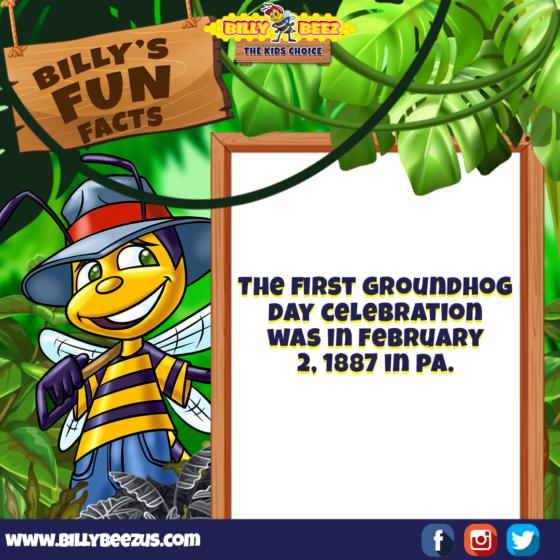 Billy's Fun Facts: The first Groundhog Day celebrating was in February 2, 1887 in PA. www.billybeezus.com Party/Group Booking: 347-640-1126