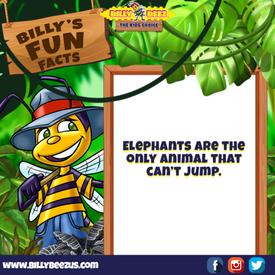 Billy's Fun Facts: Elephants are the only animal that can't jump. www.billybeezus.com Party/Group Booking: 347-640-1126