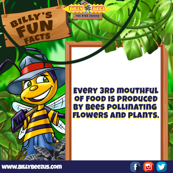 Billy's Fun Facts: Every 3rd mouthful of food is produced by bees pollinating flowers and plants. www.billybeezus.com Party/Group Booking: 347-640-1126