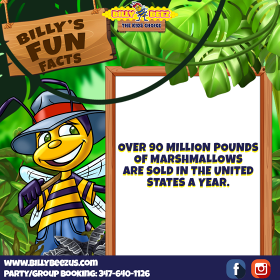 Billy Beez The Kids Choice Billy's Fun Facts Over 90 million pounds of marshmallows are sold in the United States a year. www.billybeezus.com Party/Group Booking: 347-640-1126