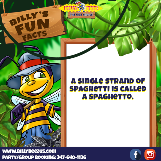 Billy's Fun Facts: A single strand od spaghetti is called a spaghetto. www.billybeezus.com Party/Group Booking: 347-640-1126
