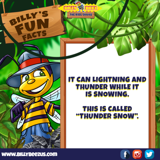 Billy's Fun Facts: It can lightning and thunder while it is snowing. This is called "Thunder Snow". www.billybeezus.com Party/Group Booking: 347-640-1126