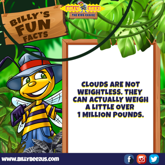 Billy's Fun Facts: Clouds are not weightless. They can actually weigh a little over 1 million pounds. www.billybeezus.com Party/Group Booking: 347-640-1126
