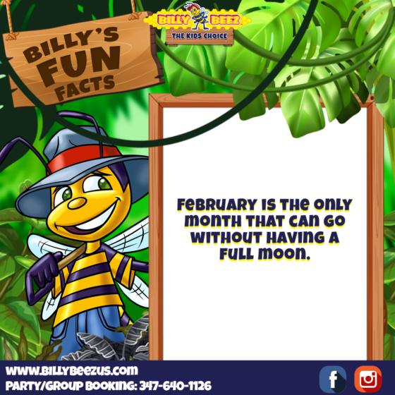 Billy Beez
The Kids Choice
Billy's Fun Facts
February is the only month that can go without having a full moon. 
www.billybeezus.com
Party/Group Booking: 347-640-1126