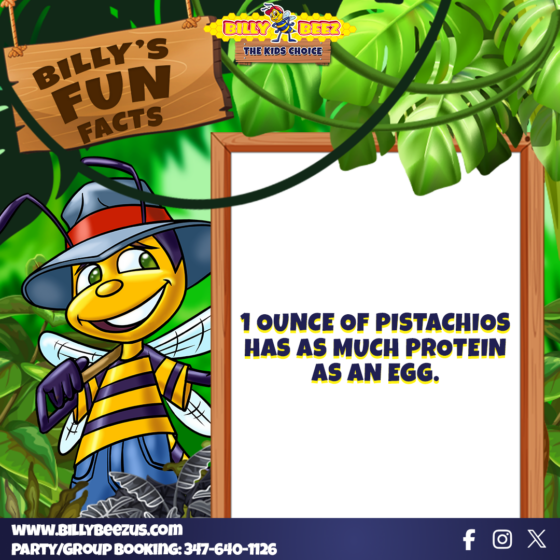 Billy Beez The Kids Choice Billy's Fun Facts 1 ounce of pistachios has a smuch protein as an egg. www.billybeezus.com Party/Group Booking: 347-640-1126 Facebook logo, Instagram logo, X logo