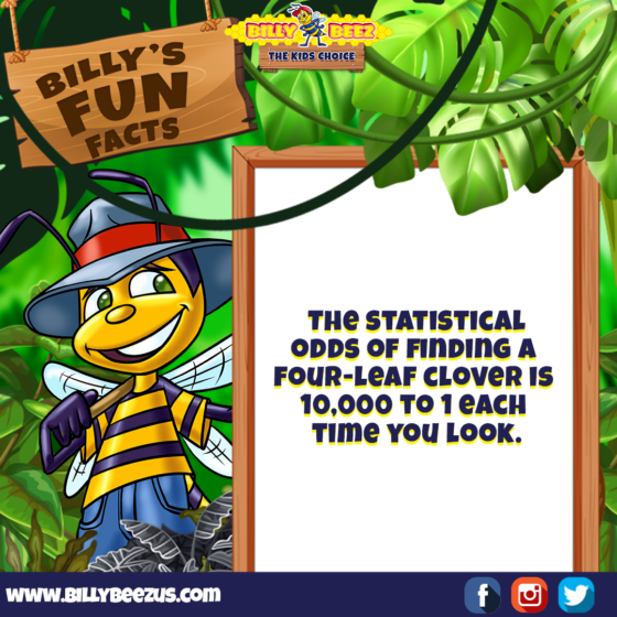 Billy's Fun Facts: The statistical odds of finding a four-leaf clover is 10,000 to 1 each time you look. www.billybeezus.com Party/Group Booking: 347-640-1126