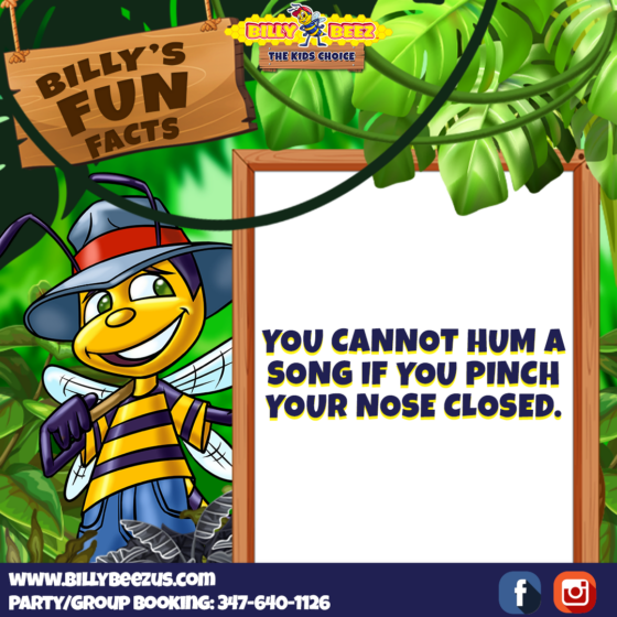 Billy Beez The Kids Choice Billy's Fun Facts You cannot hum a song if you pinch your nose closed. www.billybeez.us.com Party/Group Booking: 347-640-1126