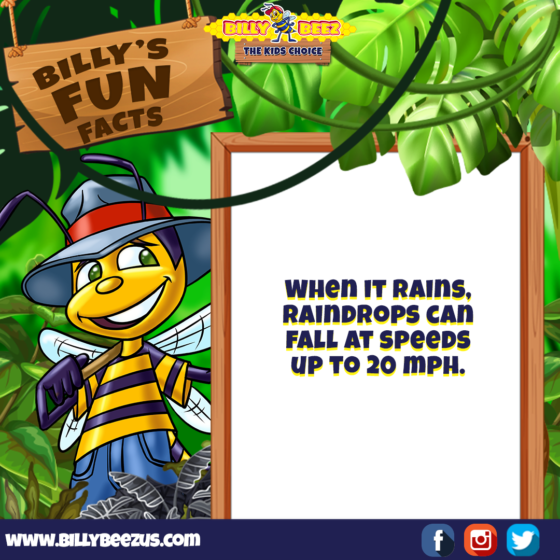 Billy's Fun Facts: When it rains, raindrops can fal at speeds up to 20 mph. www.billybeezus.com Party/Group Booking: 347-640-1126