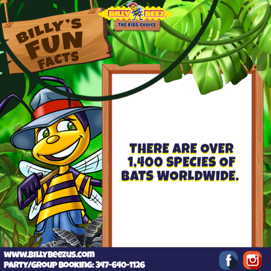 BIlly Beez
The Kids Choice
Billy's Fun Facts
There are over 1,400 species of bats worldwide.
www.billybeezus.com
Party/Group Booking: 347-640-1126