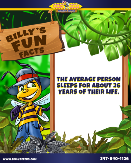 Billy Beez
The Kids Choice
Billy's Fun Facts
The average person sleeps for about 26 years of their life.
www.billybeezus.com 3417-640-1126