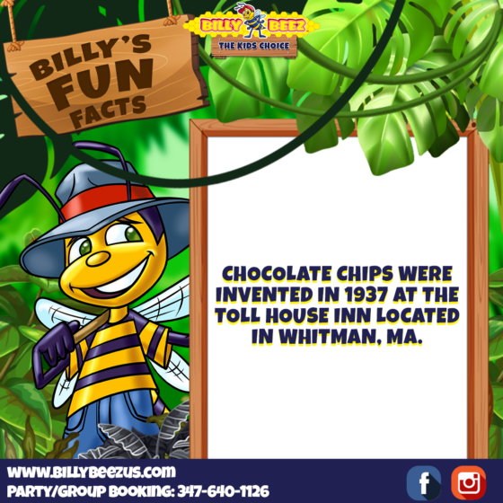 Billy Beez The Kids Choice Billy's Fun Facts Chocolate chips were invented in 1937 at the Toll House Inn located in Whitman, MA. www.billybeezus.com Party/Group Booking: 347-640-1126