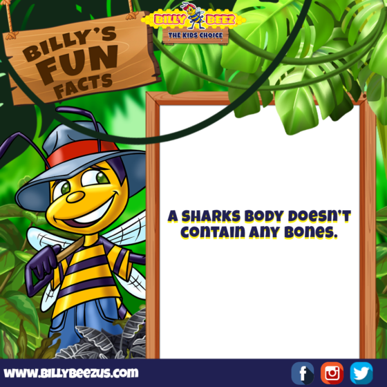 Billy's Fun Facts: A sharks body doesn't contain any bones. www.billybeezus.com Party/Group Booking: 347-640-1126