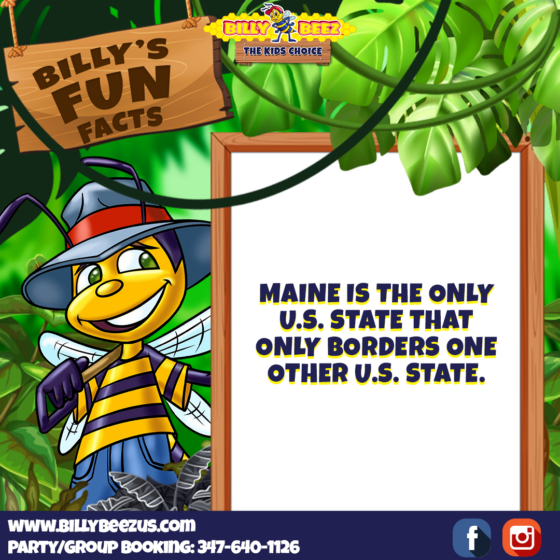 Billy's Fun Facts Maine is the only U.S. state that only borders on other U.S. state. www.billybeezus.com Party/Group Booking: 347-640-1126