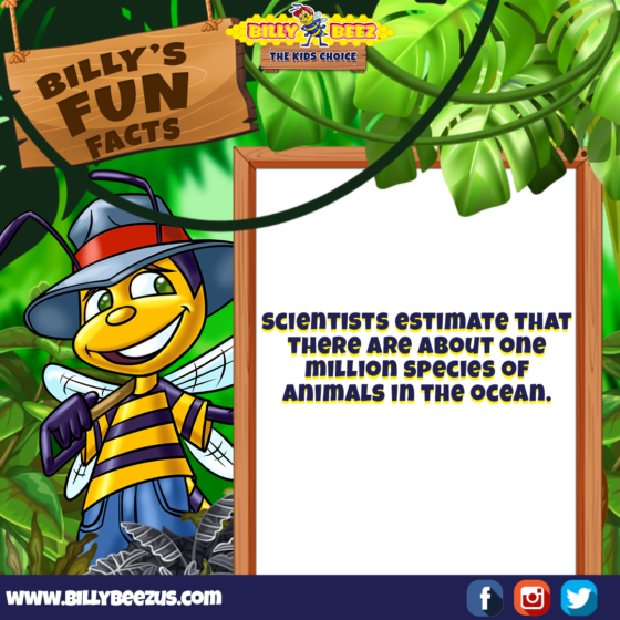 Billy's Fun Facts: Scientists estimate that there are about one million species of animals in the ocean. www.billybeezus.com Party/Group Booking: 347-640-1126