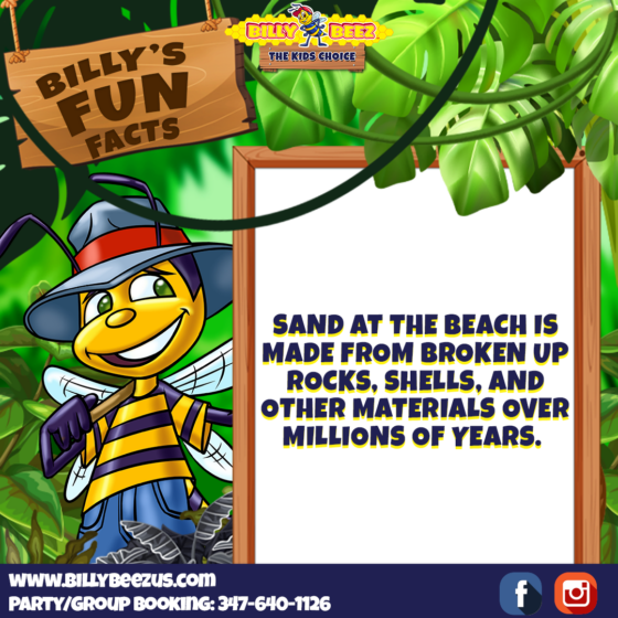 Billy Beez The Kids Choice Billy's Fun Facts Sand at the beach is made from broken up rocks, shells, and other materials over millions of years. www.billybeezus.com Party/Group Booking: 347-640-1126