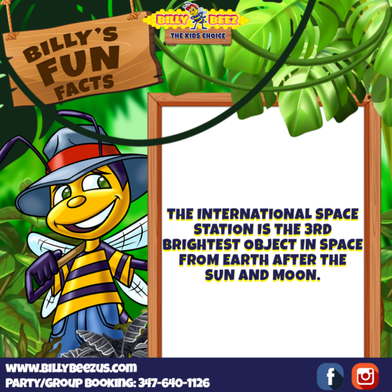 Billy Beez The Kids Choice Billy's Fun Facts The International Space Station is the 3rd brightest object in space from earth after the sun and moon. www.billybeezus.com Party/Group Booking: 347-640-1126