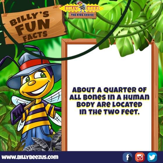 Billy's Fun Facts: About a quarter of all bones in a human body are located in the two feet. www.billybeezus.com Party/Group Booking: 347-640-1126