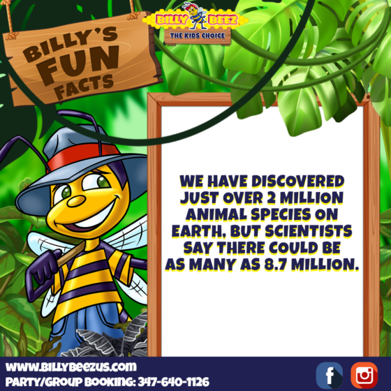 Billy Beez The Kids Choice Billy's Fun Facts We have discovered just over 2 million animal species on earth, but scientists say there could be as many as 8.7 million. www.billybeezus.com Party/Group Booking: 347-640-1126