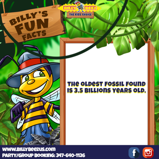 Billy's Fun Facts: The oldest fossil found is 3.5 billions years old. www.billybeezus.com Party/Group Booking: 347-640-1126