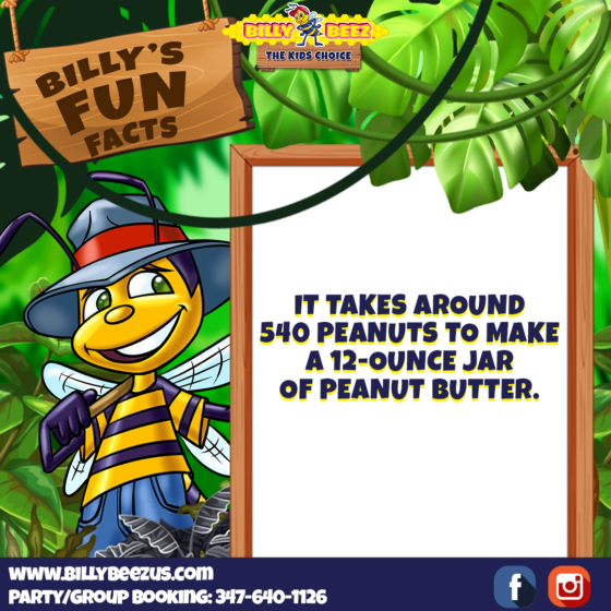 Billy Beez The Kids Choice Billy's Fun Facts It takes arund 540 peanuts to make 1 12-ounce jar of peanut butter. www.billybeezus.com Part/Group Booking: 347-640-1126