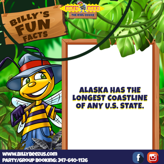 Billy Beez The Kids Choice Billy's Fun Facts Alaska has the longest coastline of any U.S. state. www.billybeezus.com Party/Group Booking: 347-640-1126