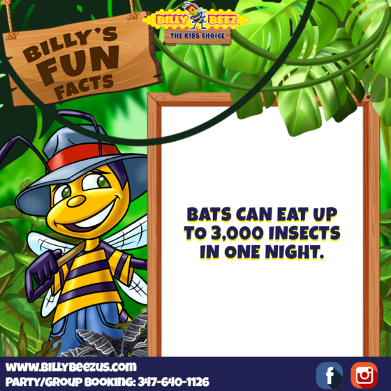 Billy Beez
The Kids Choice
Billy's Fun Facts
Bats can eat up to 3,000 insect in one night.
www.billybeezus.com
Party/Group Booking: 347-640-1126
