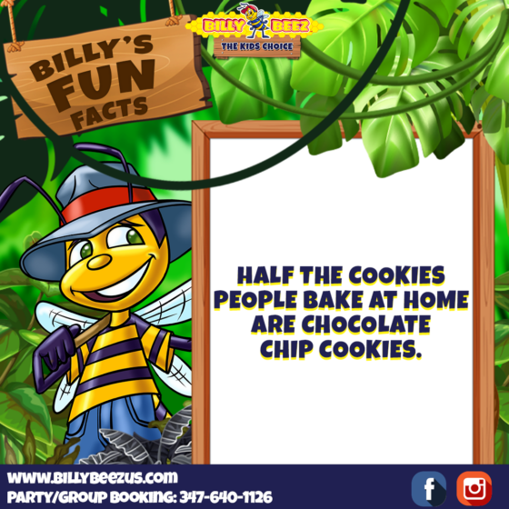 Billy Beez The Kids Choice Billy's Fun Facts Half the cookies people bake at home are chocolate chip cookies. www.billybeezus.com Party/Group Booking: 347-640-1126