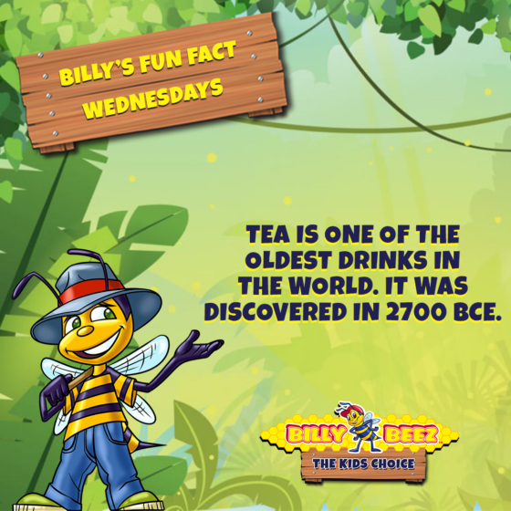 Billy's Fun Fact Wednesdays: Tea is one of the oldest drinks in the world. It was discovered in 2700 BCE.